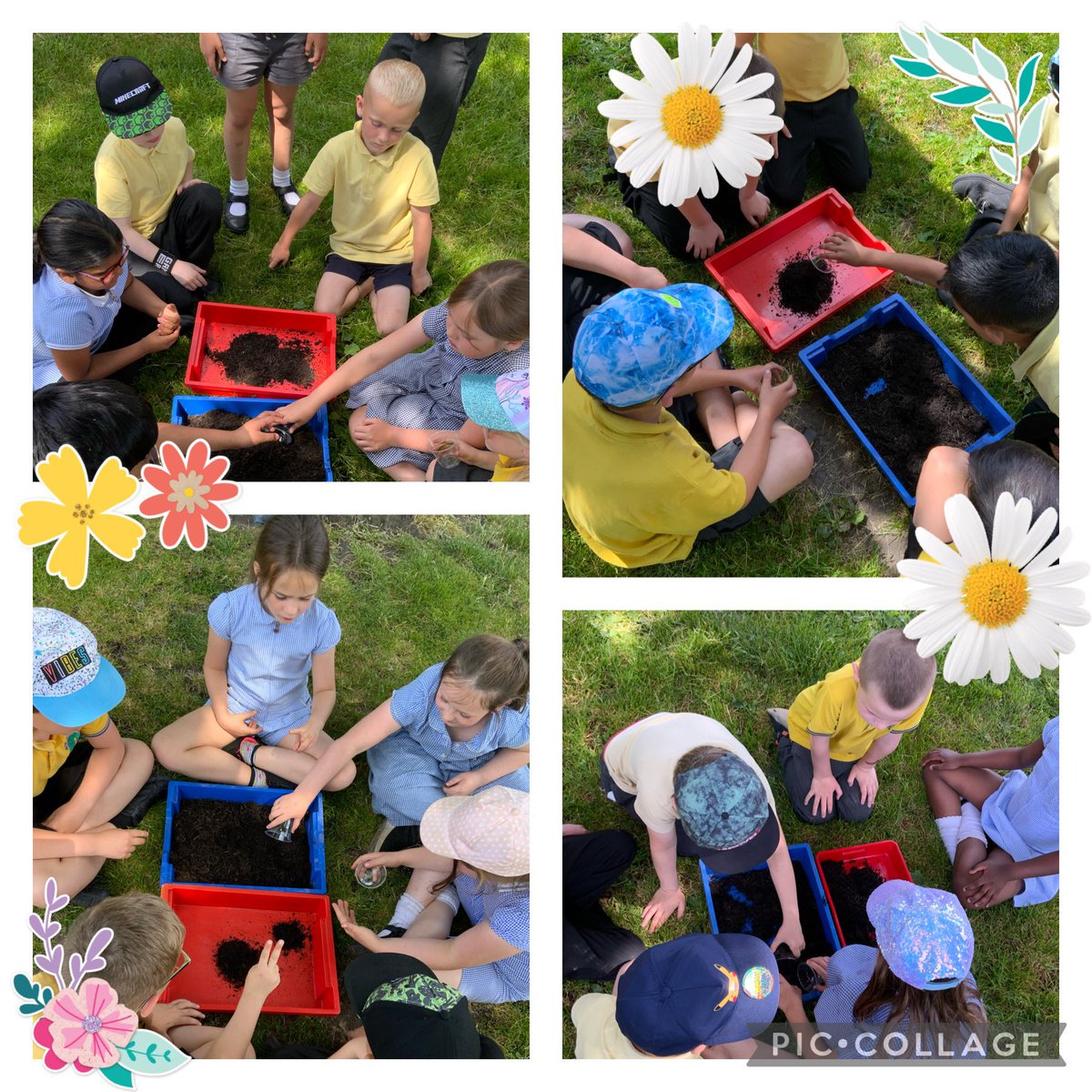 HurstKnollY3's tweet photo. Year 3 made some wildflower seed bombs today after our #FarminaBox live. They need a few days to dry and then we can put them onto some of our school land, then watch carefully 🤞🤞🌸🌺🥀🌼🌻🌹🌷💐 @hurstknollstja @CountryTrust https://t.co/oFWLppU9wf