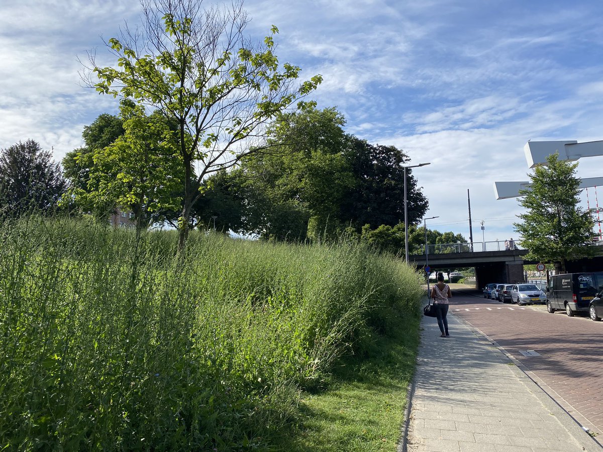 RachelleEerhart's tweet photo. #maaimeiniet #maaijuniniet, benieuwd hoe het eruit ziet in juli @rotterdam ππ€£ #spangesekade #rotterdamwest https://t.co/DsL9BfrPUk