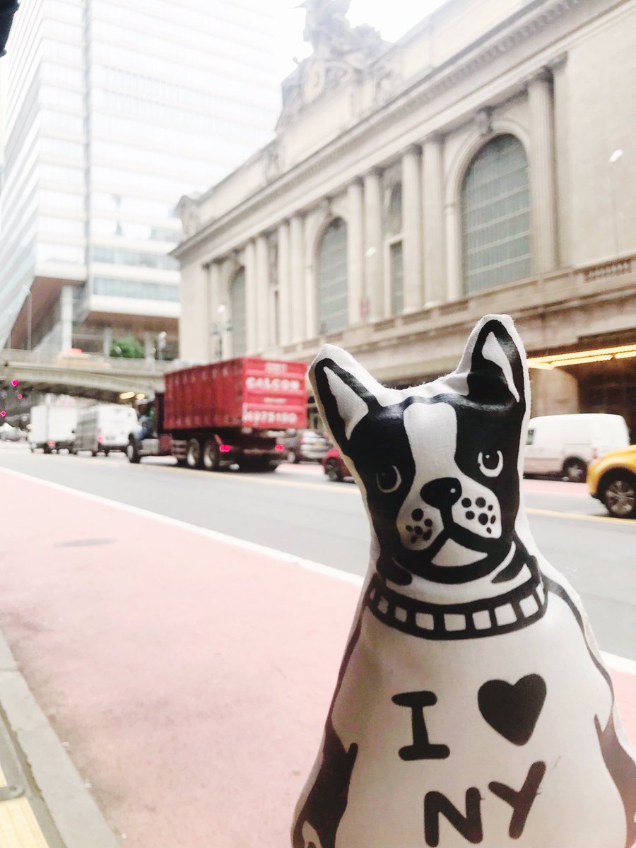 Toasty_ville's tweet photo. GM NYC ☀️ Anyone know how to get a taxi round here?!  #toastyville #waffles #nftnyc https://t.co/2kxqCkgr1t