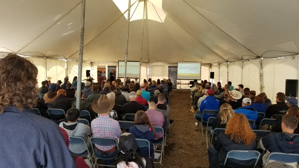 saskforage's tweet photo. Big crowd at @LFCE_usask summer field day! @kathy_a_larson presenting. #beef #forage #wcdnag https://t.co/GVeFbYZnF7
