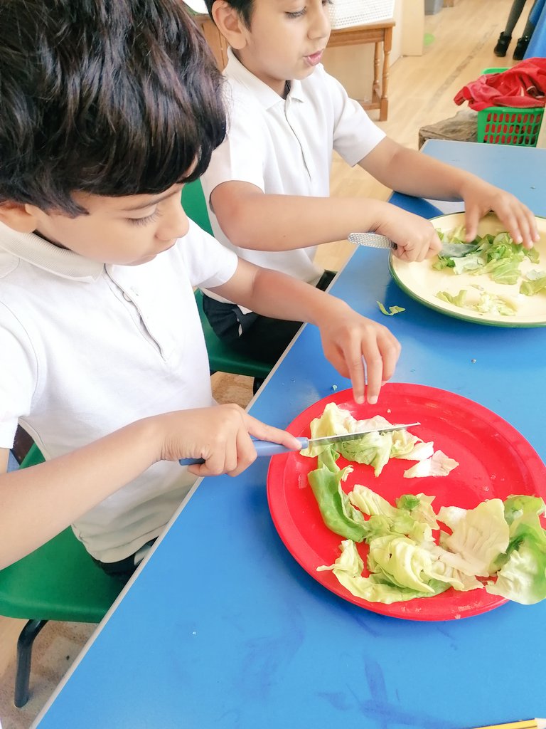 A very busy day in F2JS today! We spent the morning hunting for insects, and followed that up by making some delicious summer salads! (hands were washed very carefully before preparing our food course!)