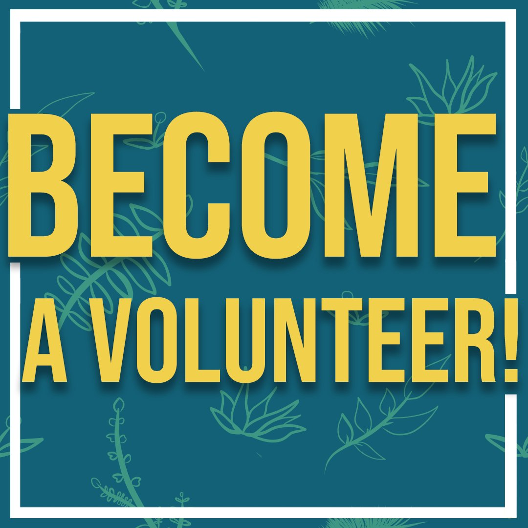 We took a small hiatus from posting on our social media for the last few months to work on our operations and NOW WE'RE BACK! 

We'll be opening volunteer applications soon! Stay tuned for more.

#apida #kollabsf #aapi #asianamerican #sanfrancisco #bayarea #creatives #artists