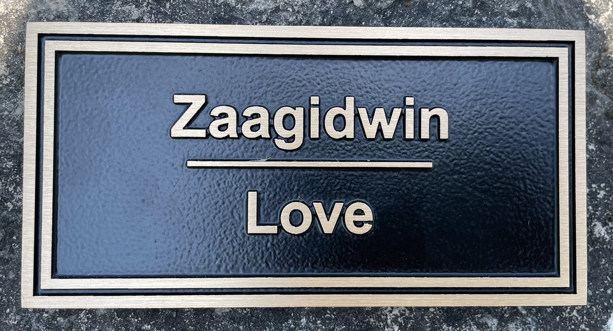 BWDSB Program Department tweet media