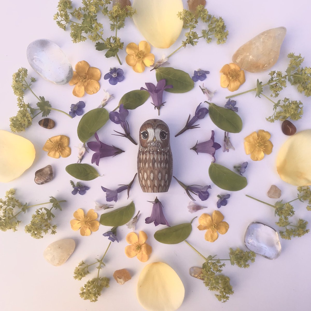 alicedarkling's tweet photo. 🌼☀️ Happy Summer Solstice ☀️🌼

(A little wobbly flowery owly mandala!)

#summersolstice2022 #summersolstice #solstice #solstice2022 https://t.co/7ezlL4PJwP