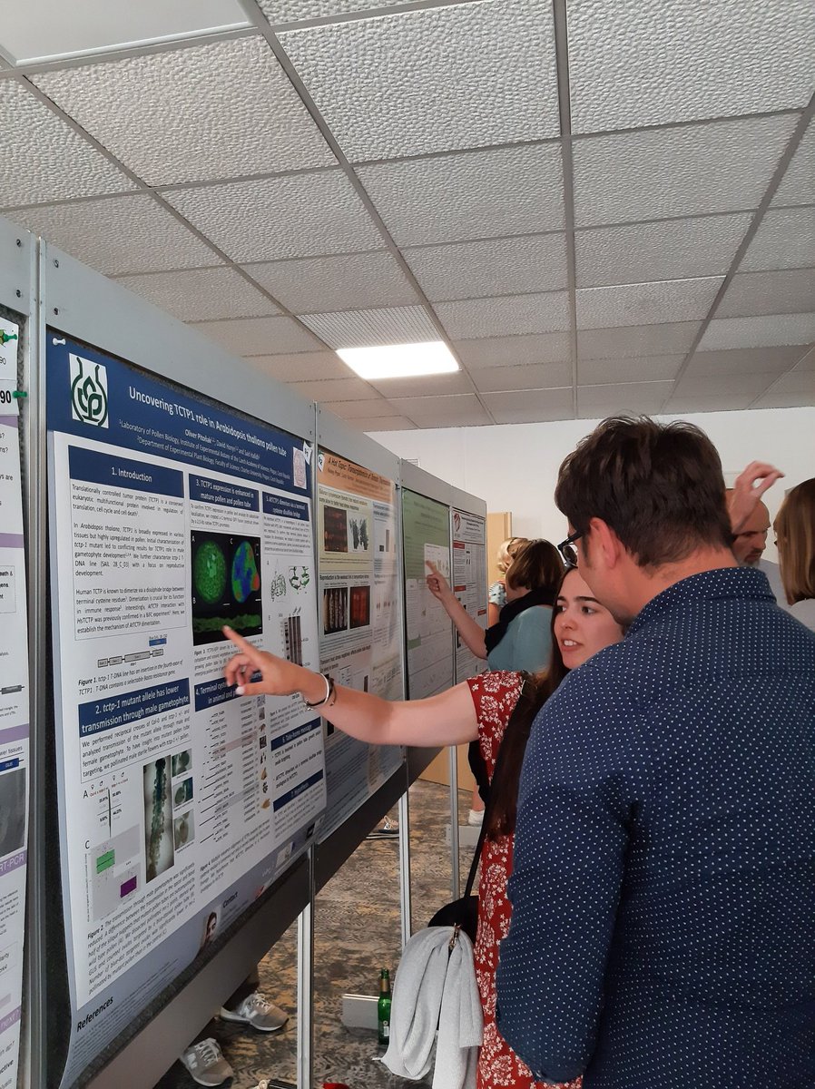 PollenBiologyCZ's tweet image. Oliver Pitonak, Master’s student of our lab presenting his poster #P91 Uncovering TCTP1 role in #Arabidopsis pollen tube. Great work, oliver 👏👏👏 #icspr2022
