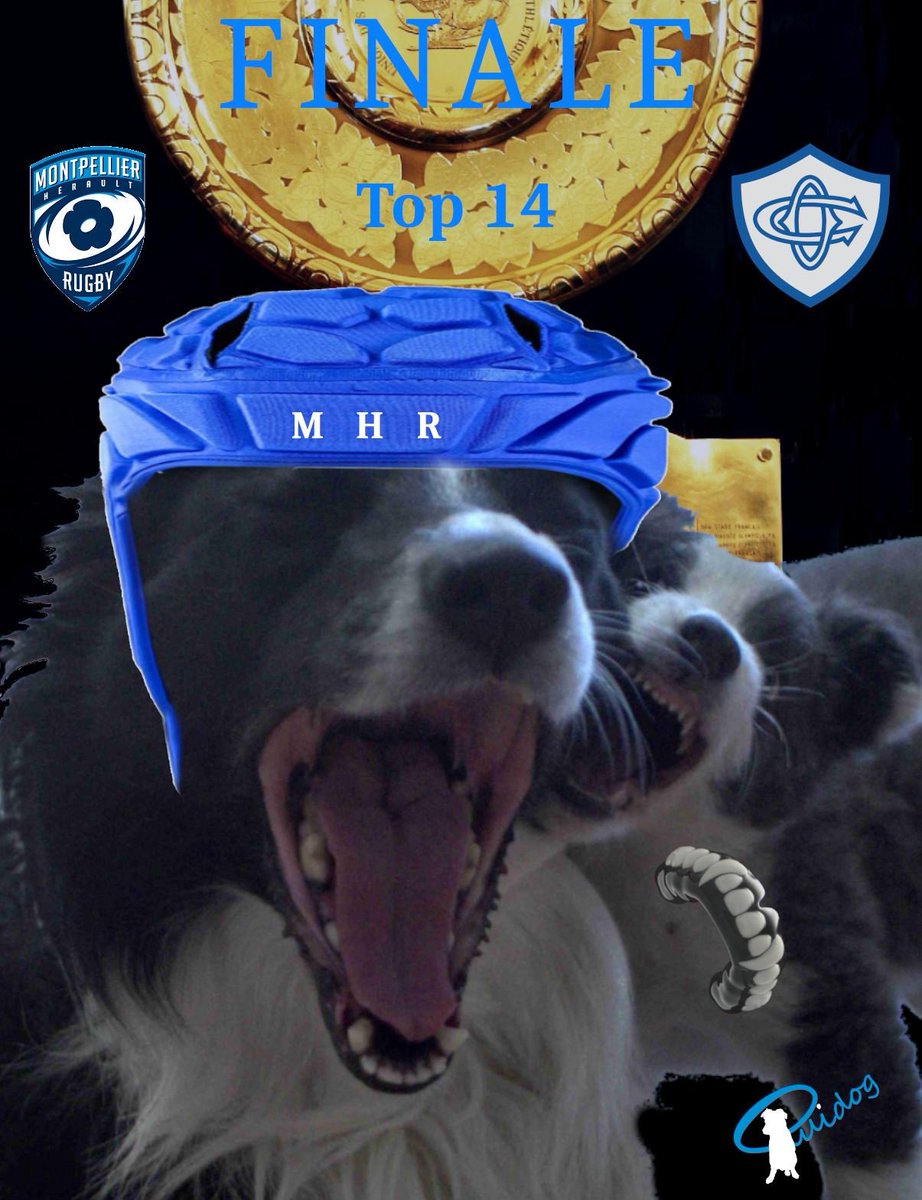 OuiDog's tweet photo. @MHR_officiel Vendredi soir au Stade de France, pour la Finale de Top14 entre le MHR et le CO, ça va piquer.
Ca va même mordre 😉 et ils sont capables de laisser tomber le protège-dents 😂...
@OuiDog soutien tous les joueurs du @mhr_officiel pour ce match historique https://t.co/FuIPZ4ln0B