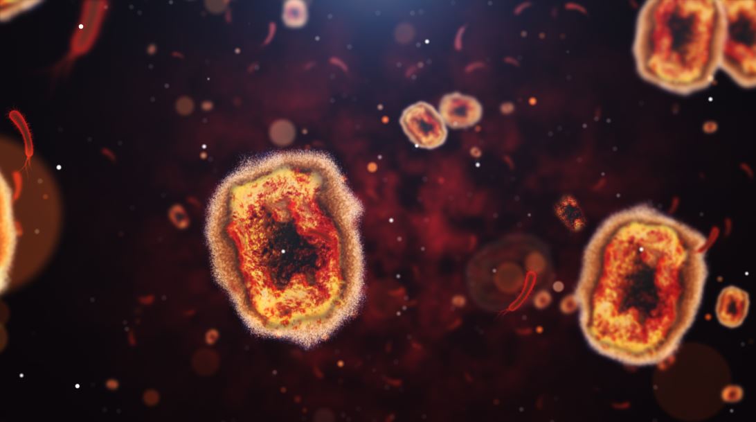 Find infection prevention and control recommendations for monkeypox in health care settings, including hospitals and outpatient settings, in our updated resource: ow.ly/fE8U50JCWI2
