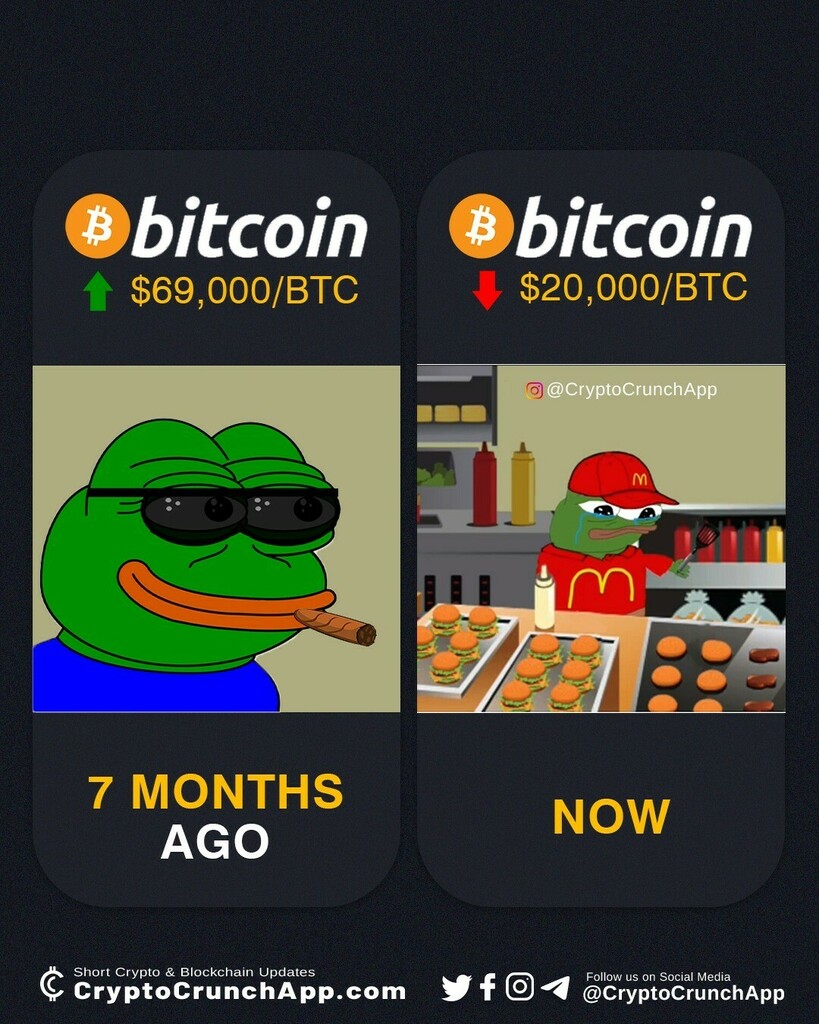 CryptoCrunchApp tweet media