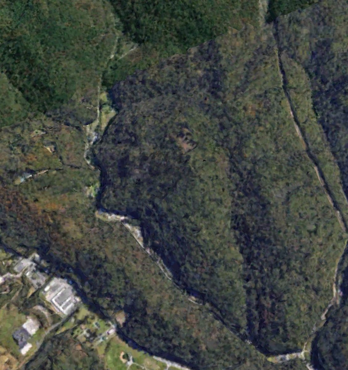 lowryder420th's tweet photo. I found this on Google Earth in an undisclosed location in the U.S. Any ideas what it could be looks like a face but it could just be pareidolia? #Archaeology #googlearth #ancientaliens #ancientcivilizations @elonmusk @AncientAliens @Tsoukalos @BillBirnes @RobertSchochPhD https://t.co/T0WWCp8svC