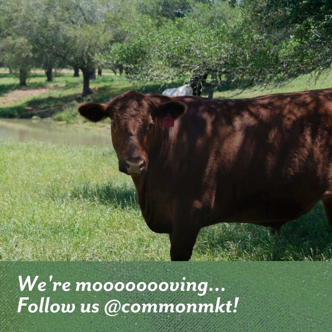 The Common Market Texas tweet media