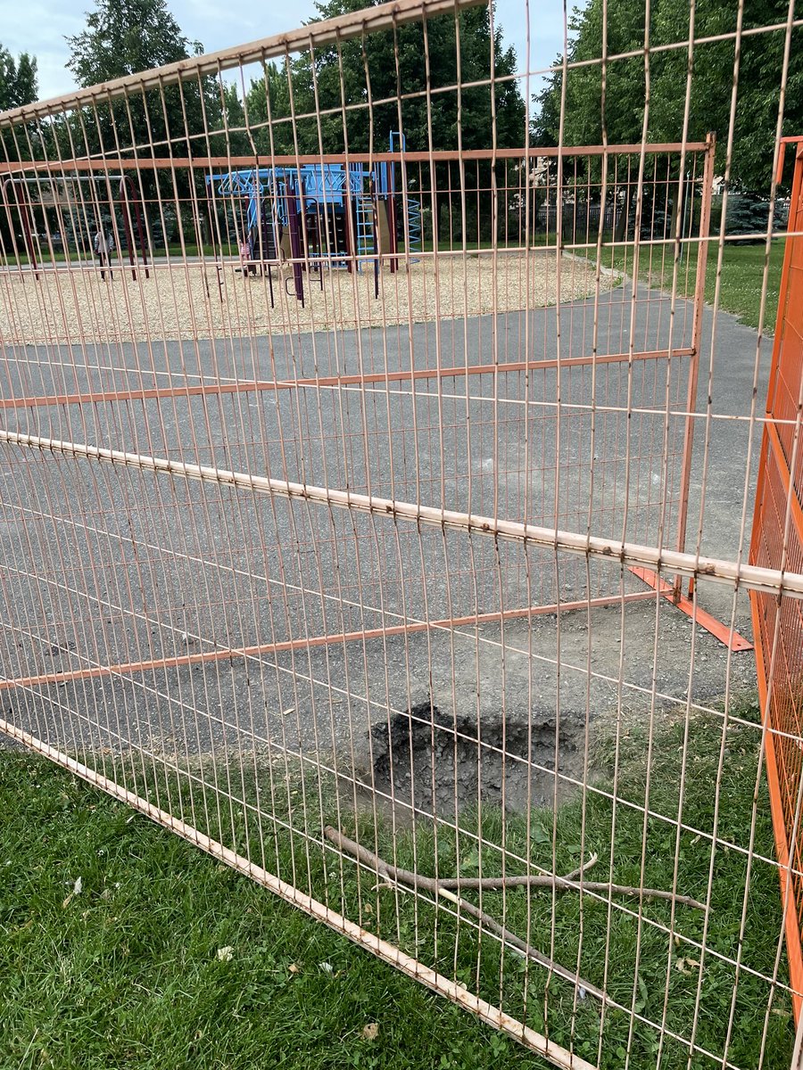 Brian Bratt tweet media