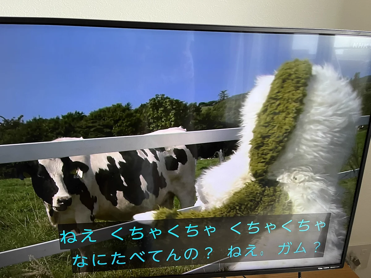いないいないばぁのワンワンの本性が明らかに！？牛を煽るワンワンが子供向けではないw