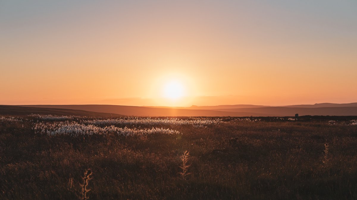 Happy summer solstice from North York Moors National Park! 🌻🌞☀ #Litha #SummerSolstice #northyorkmoors