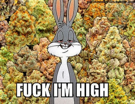 Z3N_MH's tweet photo. me rn
#stonerfam #mmemberville #weedmob #cannabiscommunity #weedlovers #weed #cannabis #legalizeit #fuckimhigh https://t.co/RI3RSSCoIH