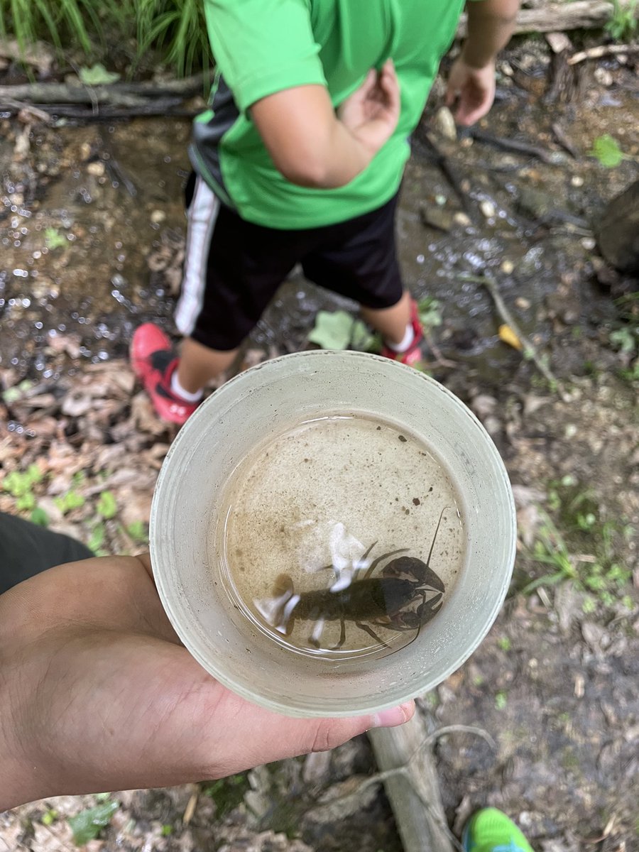 CCPSESOLTeam tweet media