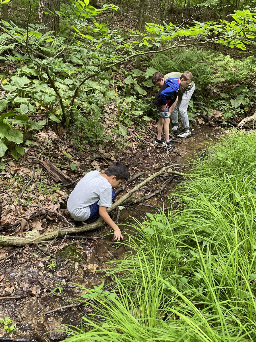 CCPSESOLTeam tweet media