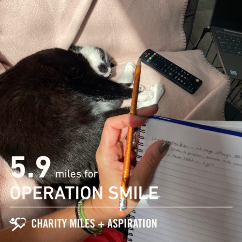 LatersBabyUK's tweet photo. #FiftyFans I did 5.9 @CharityMiles for @operationsmile & #MoveYourButt🍑 #classplanning with my sunbathing assistant. 🐈⬛ https://t.co/3v16kZeOBM