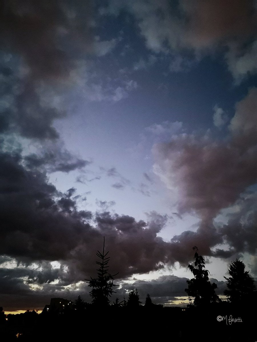 FarsettiM's tweet photo. Wieczorową porą...
#lasera #wieczór #evening #sky #clouds #trees #city #light #amodomio #smartphonephoto #Huawei #huaweiphotography #Poland #Polonia #Polska https://t.co/x0y5P41Q5o