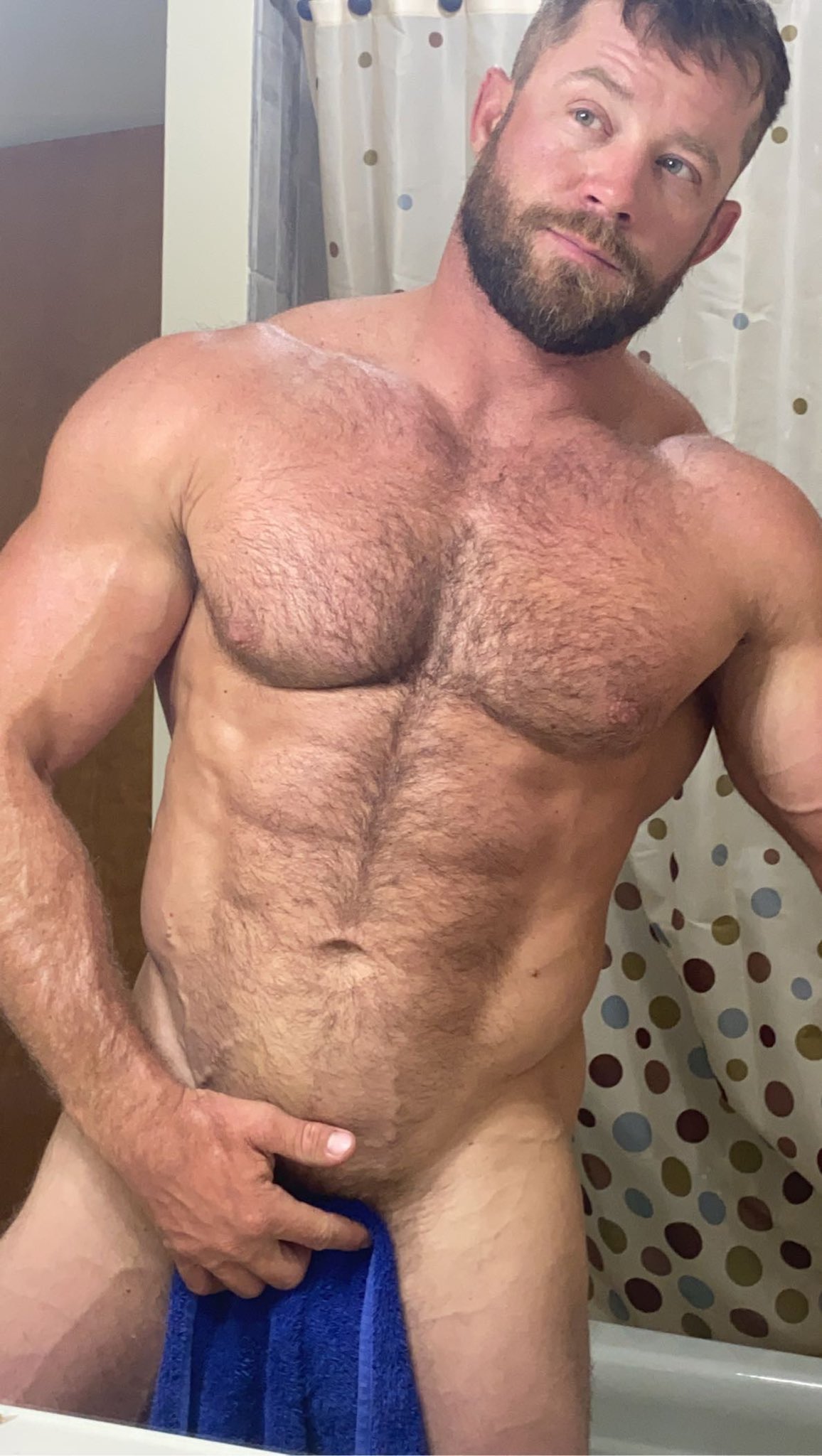 Trace Trainer on X: TowelTuesday 🐻 t.coLN0AQeHlBa  X