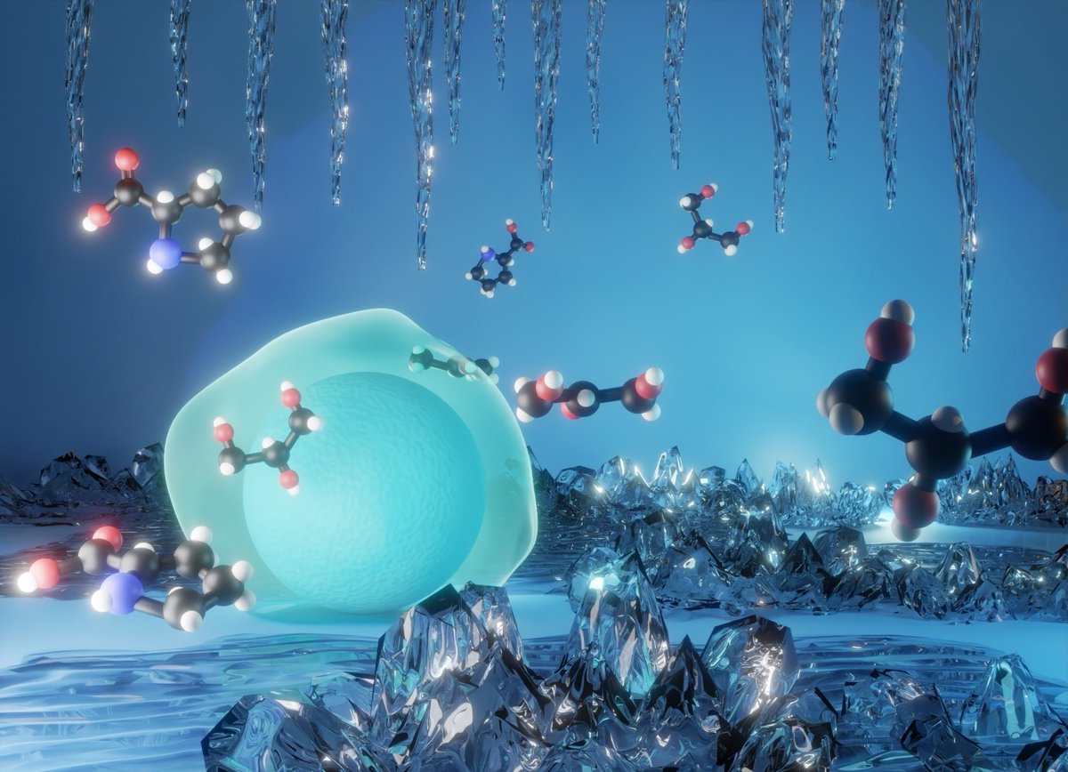 RMIT Research tweet media