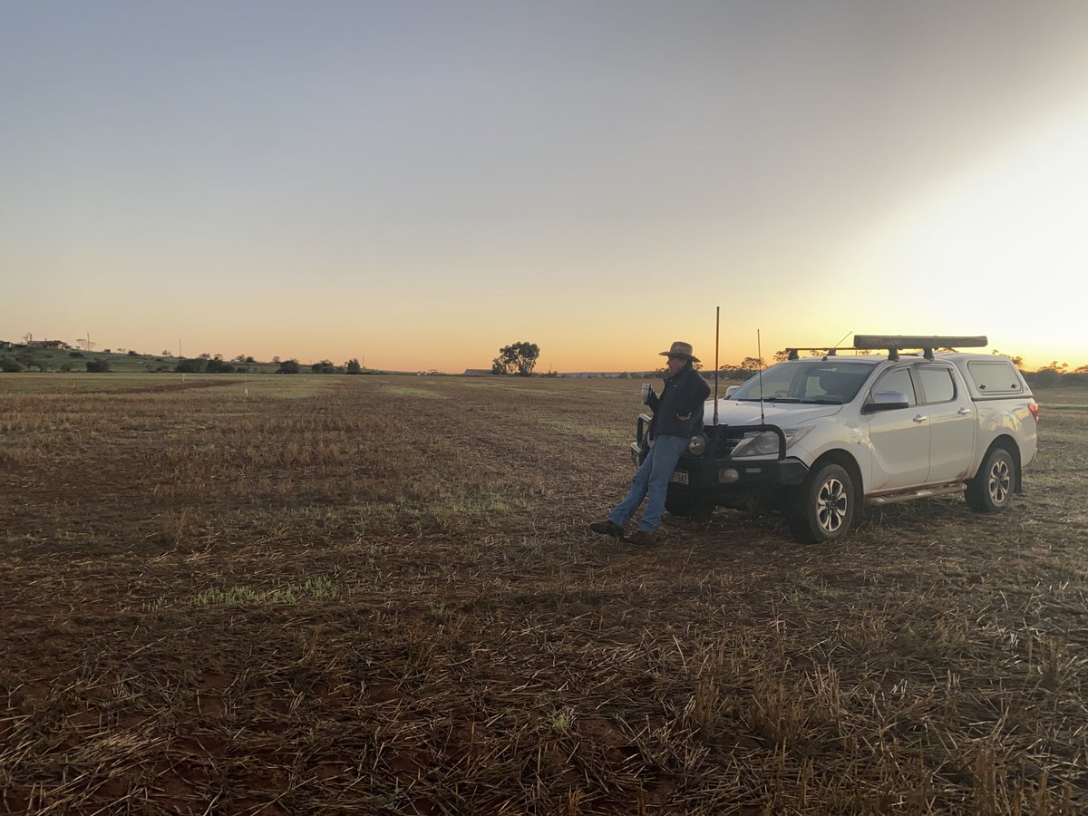 BevanAddison's tweet image. Great sunrise at MINGENEW for an early start checking ⁦@Adama_AU⁩ matrix demo ⁦@GroupMIG⁩ heavyland trial site