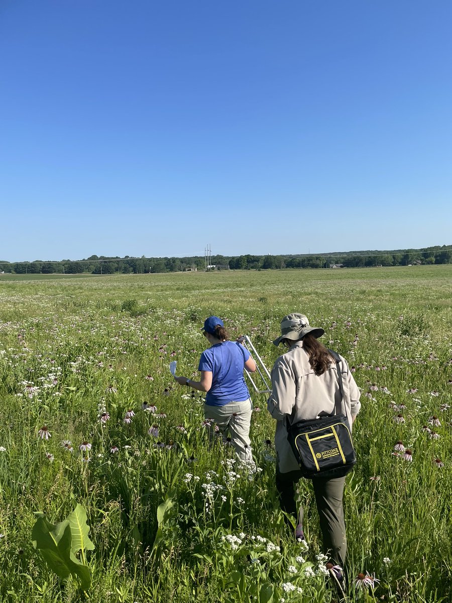 It was a nice, but hot, day sampling <a href="/Nachusa/">Nachusa Grasslands</a> with <a href="/BarberEcology/">Nick Barber</a>, <a href="/WSwingley/">Wesley Swingley</a> and <a href="/DocHPJones/">Holly Jones</a>. Ready for more soil sampling tomorrow!