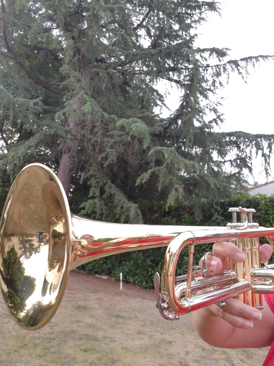 WeberCecile's tweet photo. Bonne fête de la musique ! 🎺🎶🤗 https://t.co/fWv7koCN6t