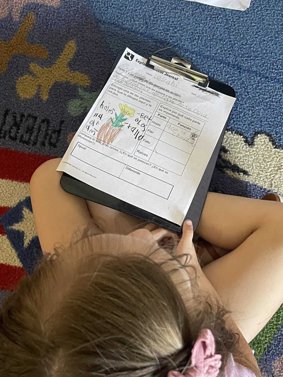 Maria Melendres Robles tweet media