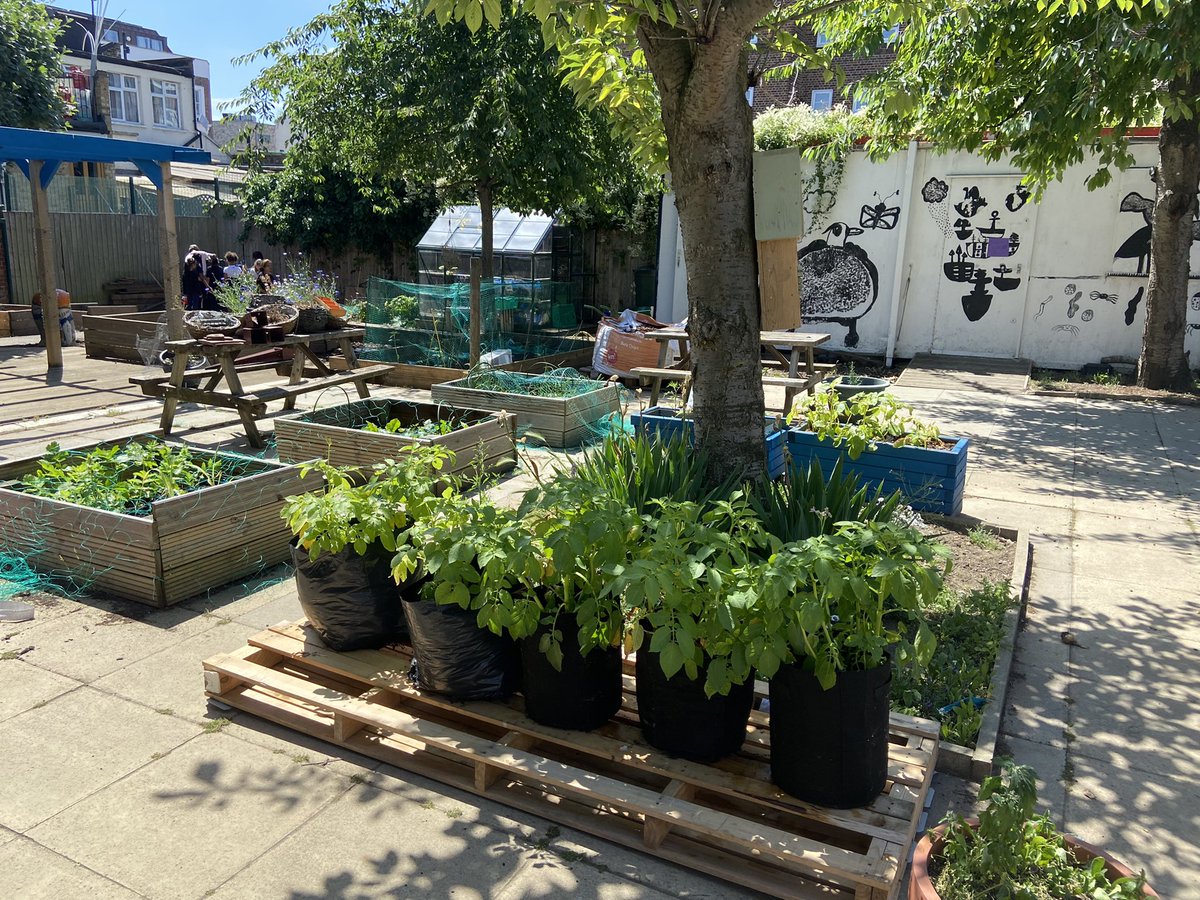 KevinJonesOFPA's tweet photo. OFPA garden looking great in the sunshine today! ☀️ https://t.co/yaPB4Amgjj