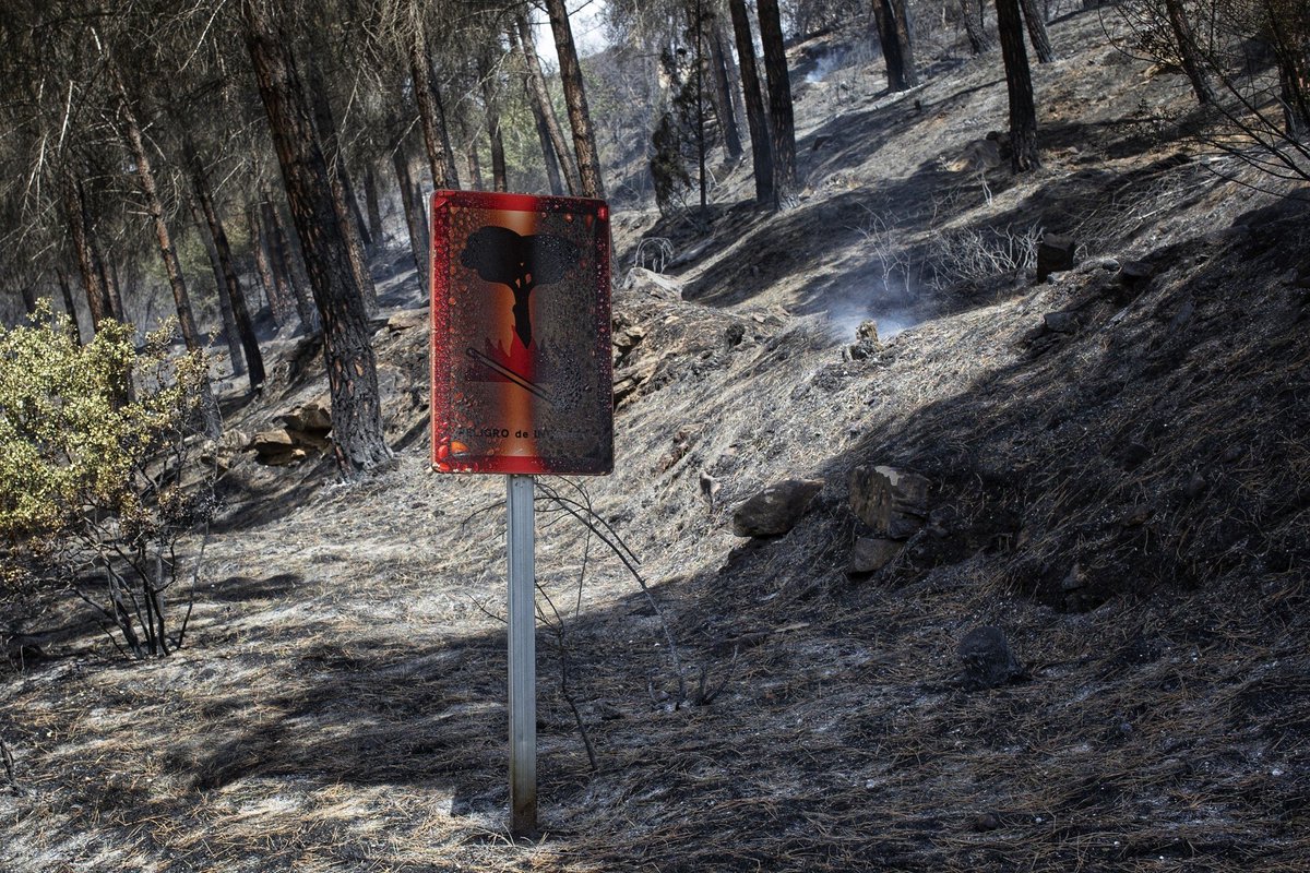 UnaiBeroiz's tweet photo. Peligro de incendio

#IFNavarra https://t.co/oqw1gOR6YL