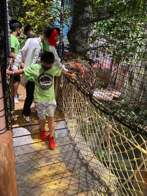 JaneWHerndon's tweet photo. Cook Museum was a blast today! The kids had fun exploring the exhibits and learning about topics ranging from space to the animals that roam Alabama. #mcslearn #MadisonESL https://t.co/23yzodS1F1