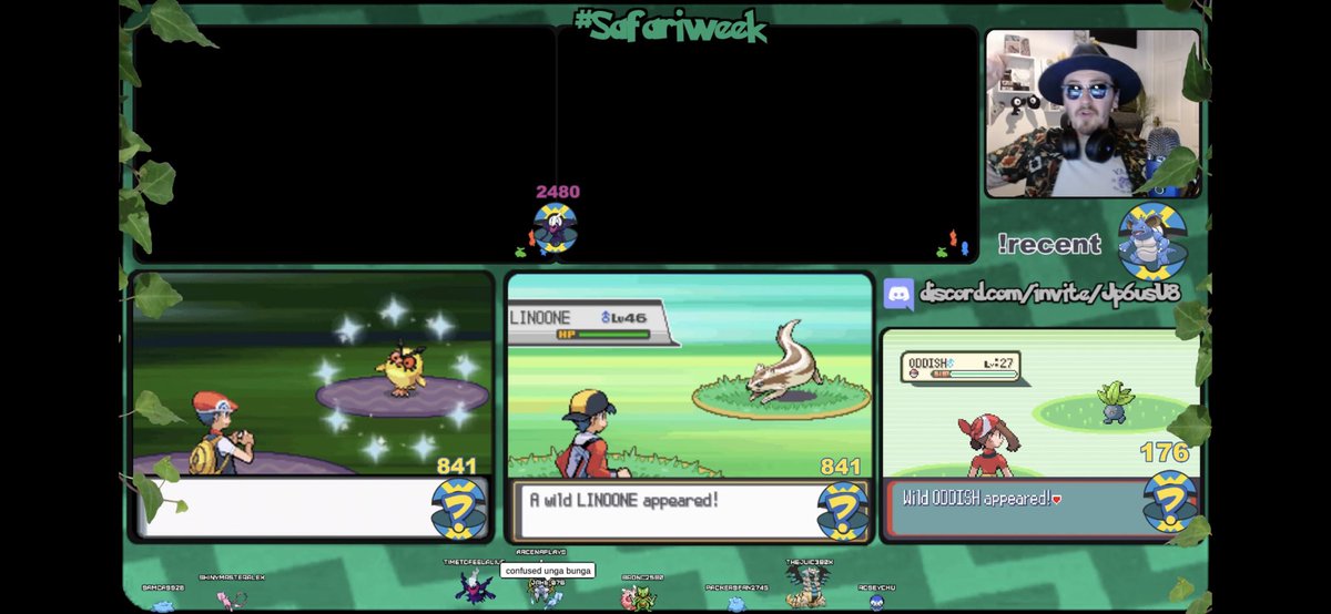 TTFA_Sam's tweet image. Found my first ever safari shiny yesterday! Caught it first ball too! Clip below :) #safariweek2022