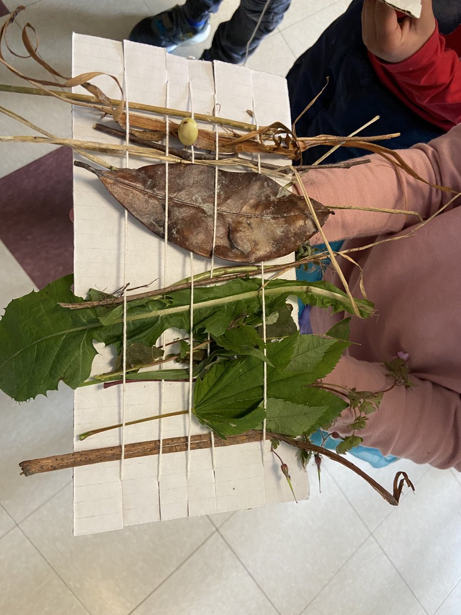 Sandra Singh tweet media