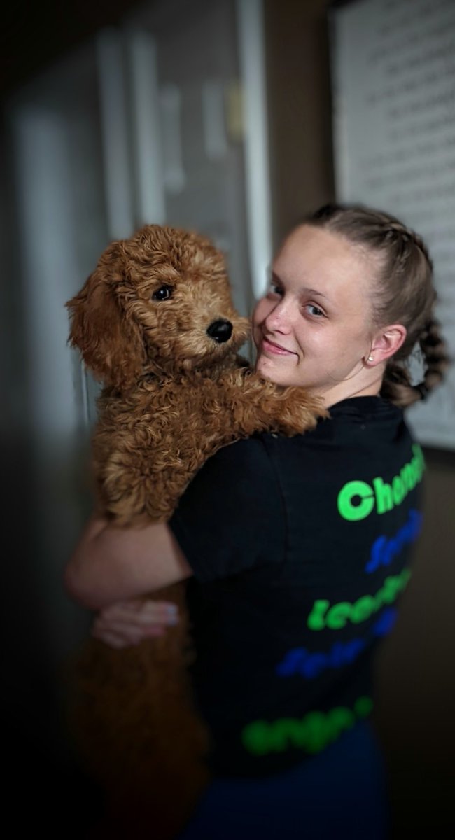 DHSBusinessMarketing tweet media