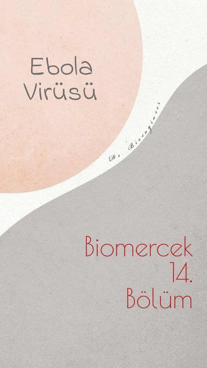 DrBioengineer's tweet image. Biomercek 14. Bölüm “Ebola Virüsü” yayımlandı🎊
.
.
.
#bioengineer #biyomühendislik #DNA