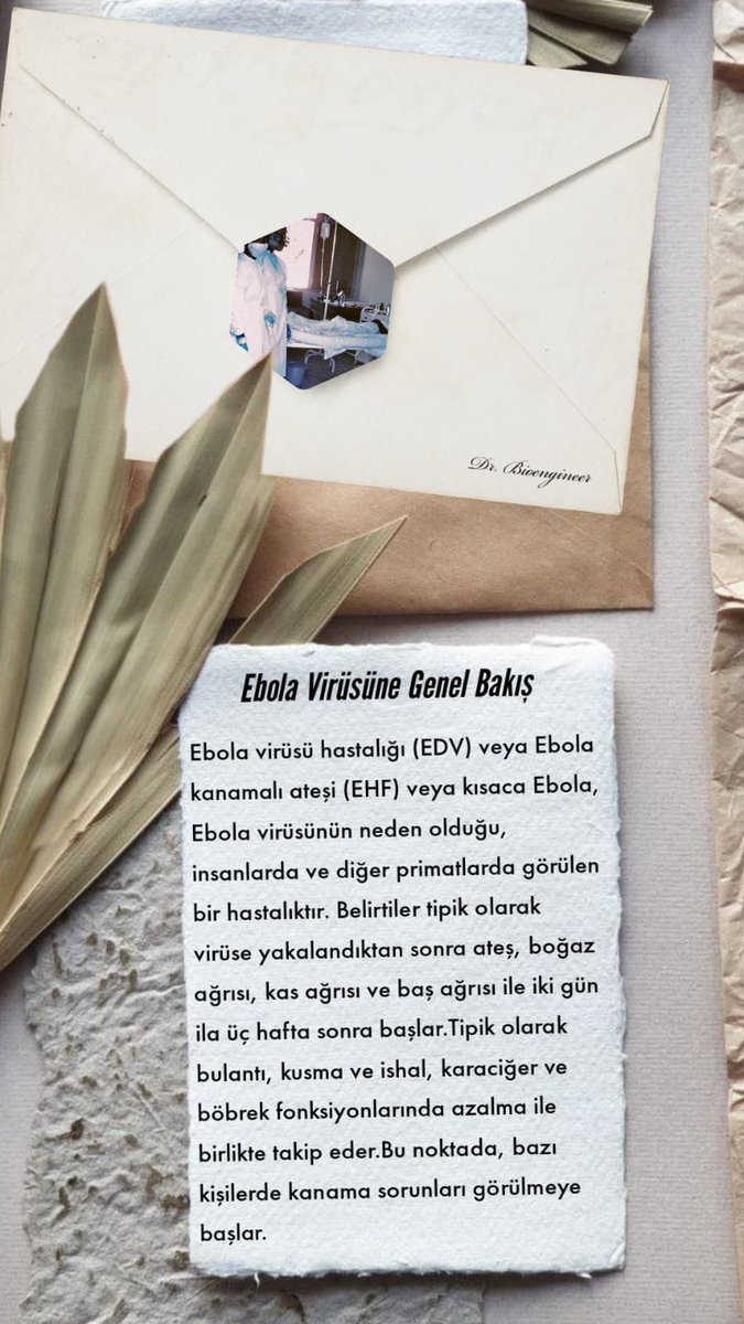 DrBioengineer's tweet image. Biomercek 14. Bölüm “Ebola Virüsü” yayımlandı🎊
.
.
.
#bioengineer #biyomühendislik #DNA