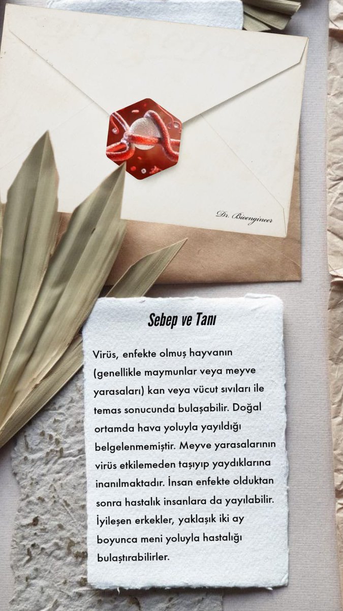 DrBioengineer's tweet image. Biomercek 14. Bölüm “Ebola Virüsü” yayımlandı🎊
.
.
.
#bioengineer #biyomühendislik #DNA