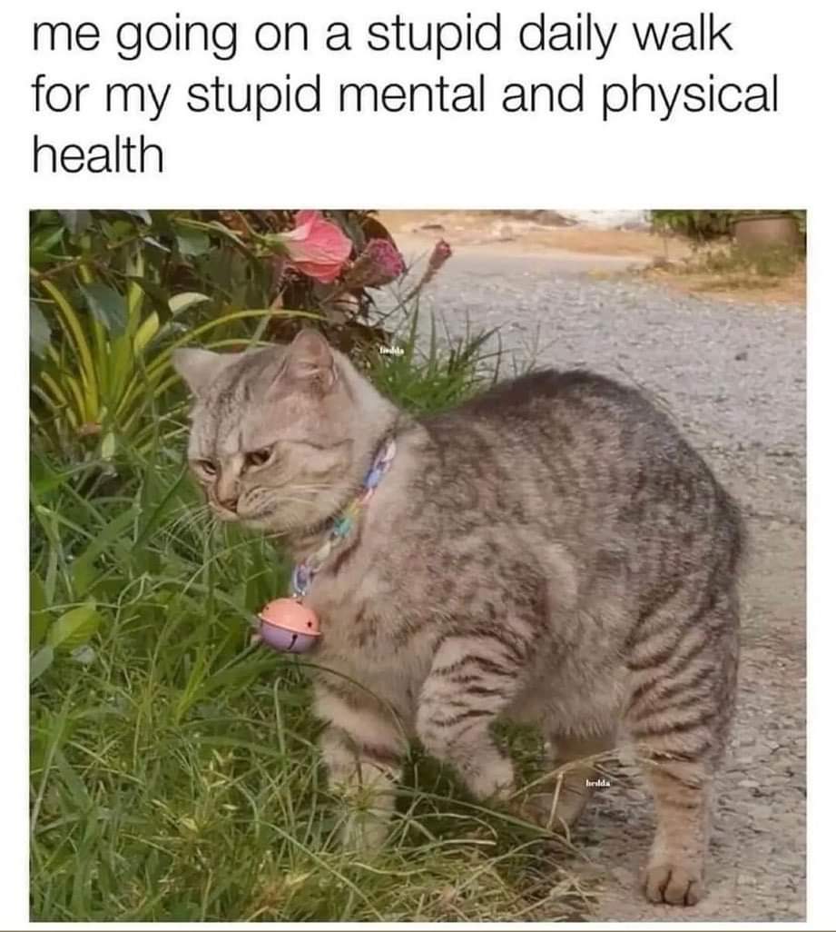 Christina Socha (@christina_socha) on Twitter photo 