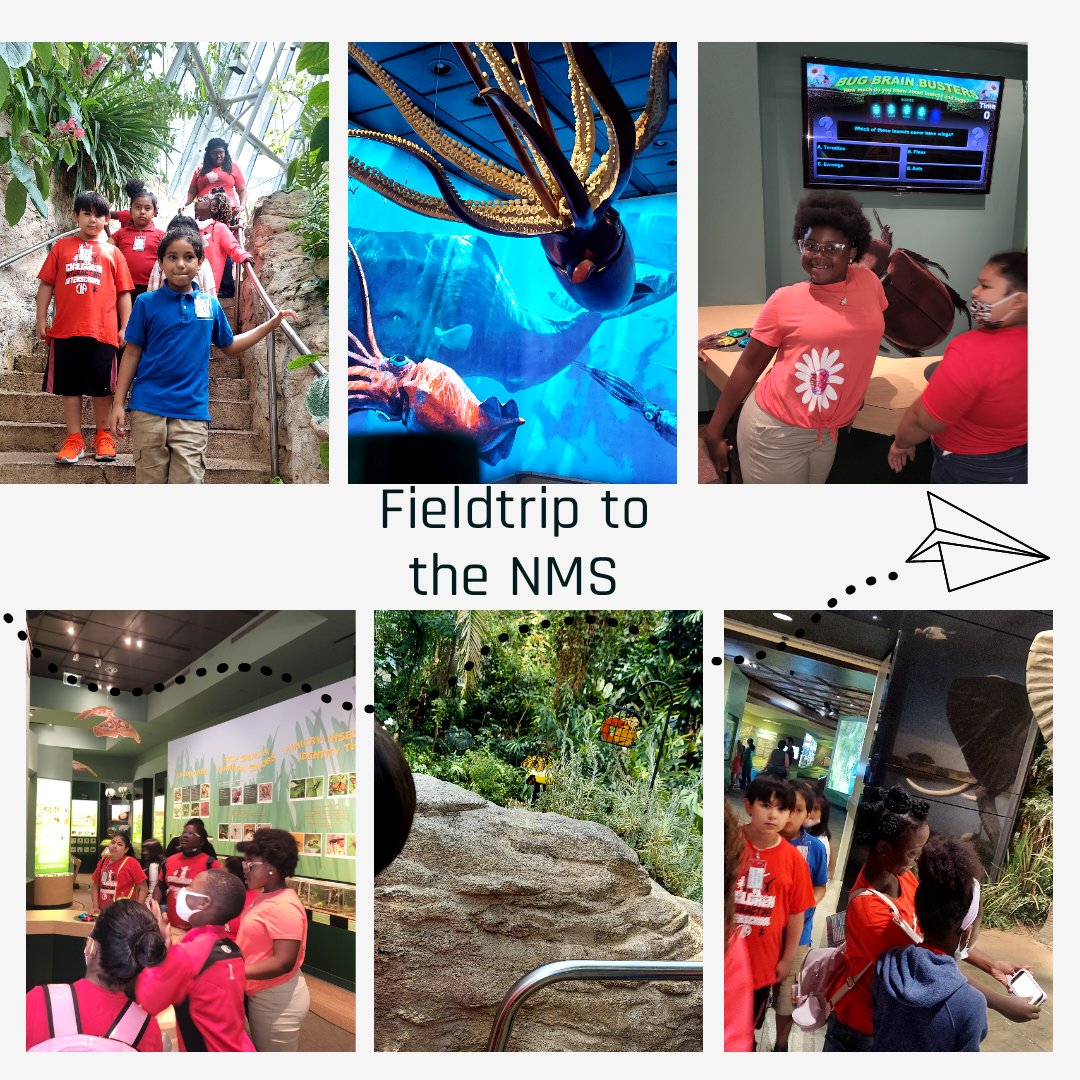 Landis CIA tweet media