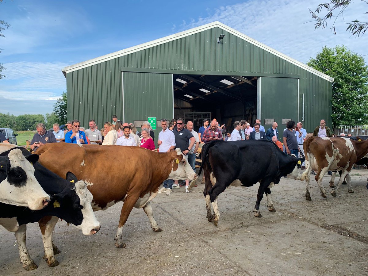 nautilusdelft's tweet photo. Vanavond waren we te gast op Hoeve #Ackerdijk voor de #bks #bbq. Leuke gesprekken gehad over de toekomst van #schieoevers #delft, heerlijk gegeten dankzij de #smokemasters, en een ludiek intermezzo: de koeien die halverwege de avond van de stal de wei in gingen. https://t.co/HeNkyJ8Qqw
