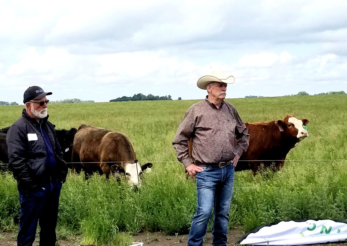 saskforage's tweet photo. First field tour of the day. @DrBart_Beef drawing a crowd @LFCE_usask summer field day. #beef #forage #knowledge #wcdnag https://t.co/Ds08UZBt4z