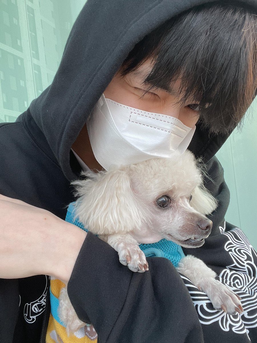 today’s kpop pet of the day is bori, the boyz younghoon’s dog