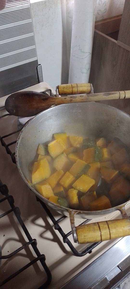 jeeh_dom's tweet photo. Como sou #madeinRio vou fazer um caldo de abóbora porque tá frio https://t.co/SZdVIoG9Vs