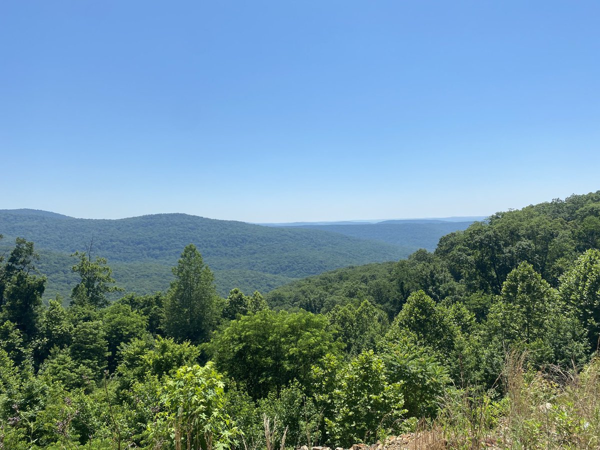 Scenic view off The Pig Tail Trail.