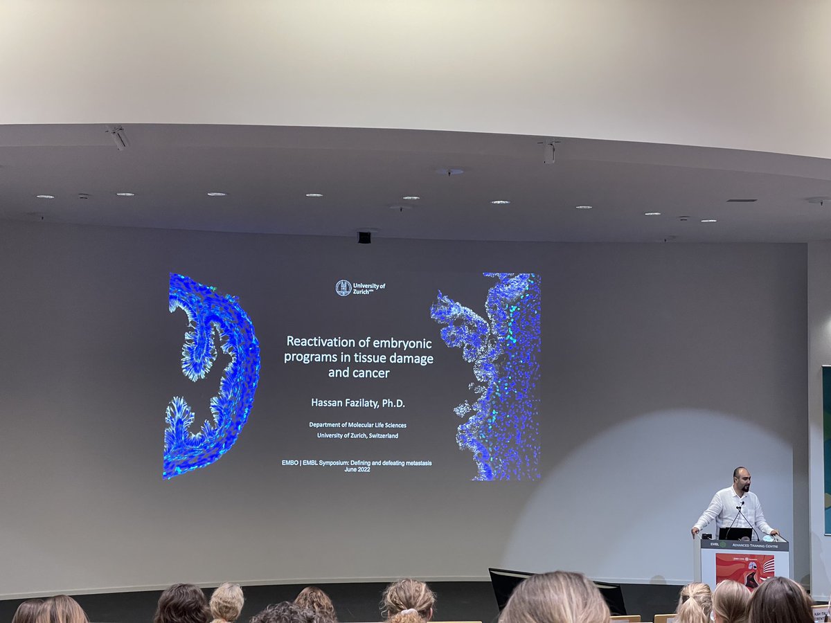 BaslerLab (@baslerlab) on Twitter photo Wonderful exchange of science with peers at the <a href="/EMBO/">EMBO</a> <a href="/embl/">EMBL</a> symposium. Amazing in-person meeting after a long time!
<a href="/BaslerLab/">BaslerLab</a> members, <a href="/TDalessi/">Tosca Dalessi</a> , <a href="/MDBScience/">Michael Brügger</a> and <a href="/HassanFazilaty/">Hassan Fazilaty</a> presented their works and learned about new developments in the metastasis field.
#EESMetastasis Wonderful exchange of science with peers at the <a href="/EMBO/">EMBO</a> <a href="/embl/">EMBL</a> symposium. Amazing in-person meeting after a long time!
<a href="/BaslerLab/">BaslerLab</a> members, <a href="/TDalessi/">Tosca Dalessi</a> , <a href="/MDBScience/">Michael Brügger</a> and <a href="/HassanFazilaty/">Hassan Fazilaty</a> presented their works and learned about new developments in the metastasis field.
#EESMetastasis