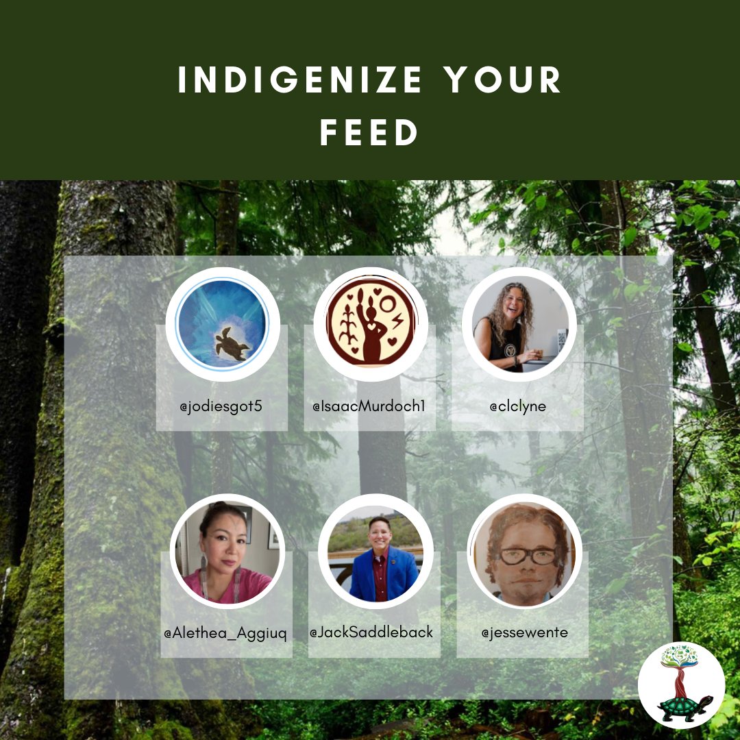 #NationalIndigenousPeoplesDay is today!
Listening to and amplifying Indigenous voices is essential in the journey of reconciliation. One way to achieve this is by diversifying your social media feeds. Follow these amazing folks to do so! 🐢
#NIPD2022