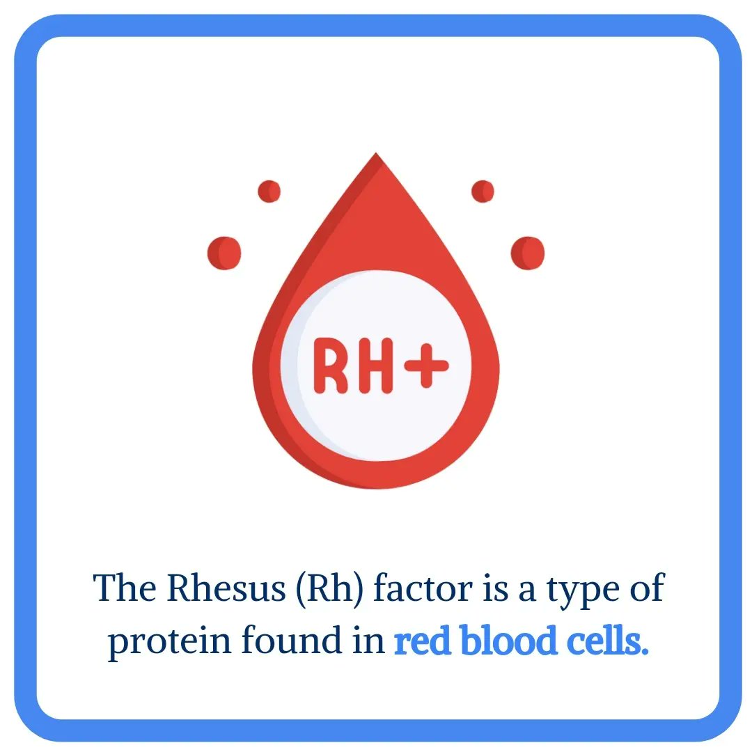 fitpeo's tweet image. What does the Rh factor test tell you about your health? 

#fitpeo #rhfactor #mother #child #pregnancy