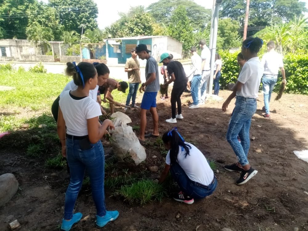 Unefa_Portugues's tweet photo. #21JUN22 Estudiantes 1er. Sem y CINU #ExtSanGenaroBoconoito #NúcleoPortuguesa, continúan rescatando áreas verdes, desmalezando y plantando grama para embellecer nuestra institución. @angiolillofp @SalaUnefa @rectorado_unefa @Unefa_VEN @Educacion_MPPD @marbelysrivero8 @Arelisjdr https://t.co/tS3b1sheYc
