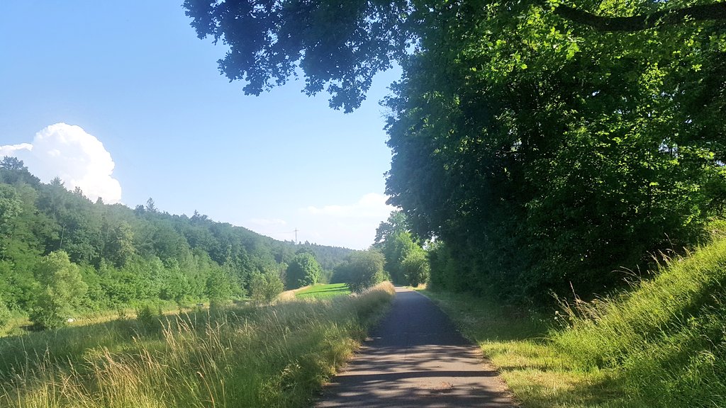 Gravelotaf's tweet photo. Puis une grande piste cyclable (longue distance selon komoot) bien goudronnée, en forêt, qui fait le tour de vallons #Wunderfull https://t.co/iLciXSwBzW