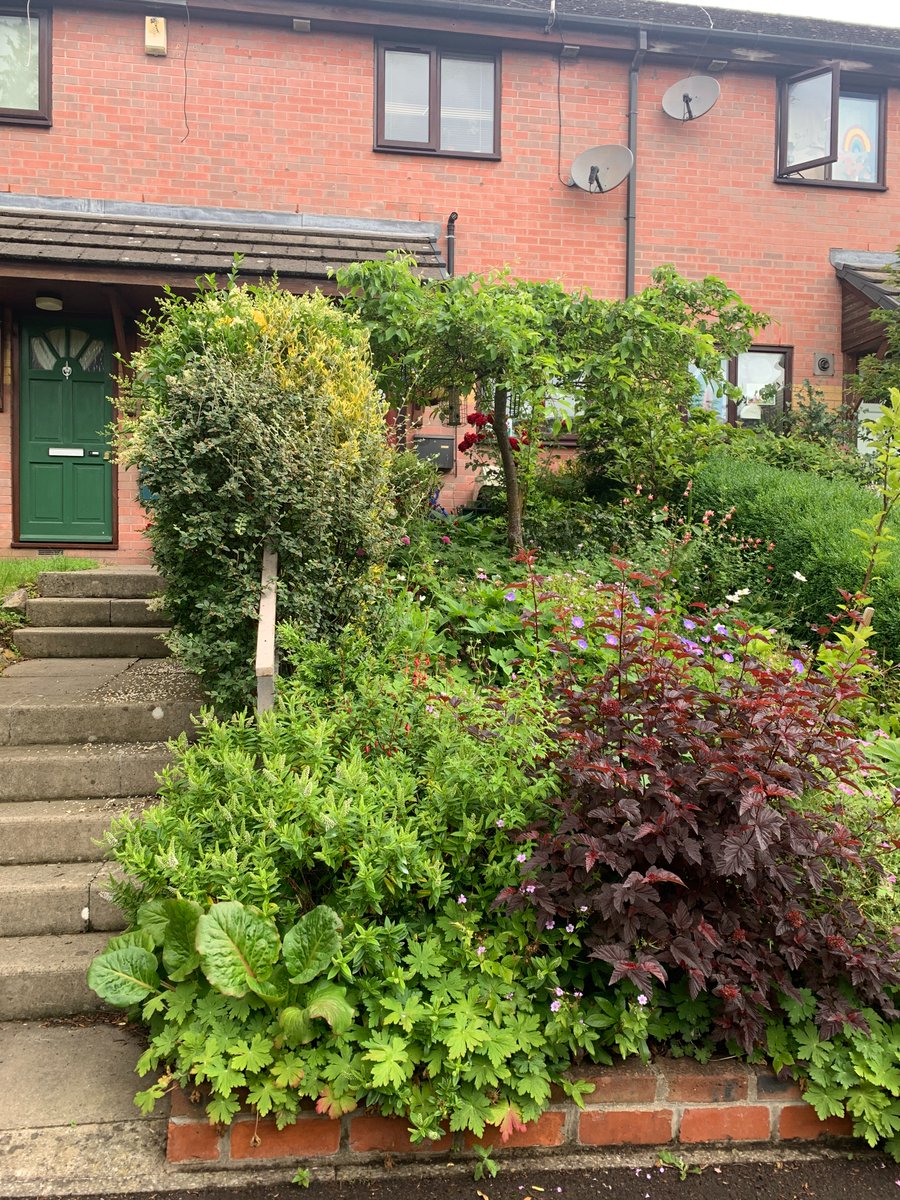 Time to start sprucing up your front gardens, pots &amp; hanging baskets ready for Totterdown's Front Garden competition!
Look out for awards appearing in windows over the next 3 weeks
Prizes for: Best Front Garden; Best Mini Garden, &amp;; Wildlife Friendly.
<a href="/Totterdown_/">Totterdown, Bristol</a> <a href="/KnowleConClub/">KCC</a>